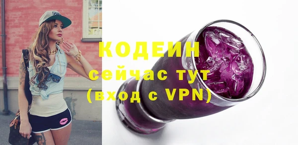 сатива Заводоуковск