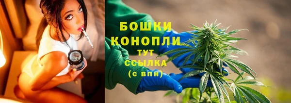 сатива Заводоуковск