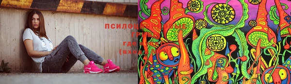 хмурый Дрезна