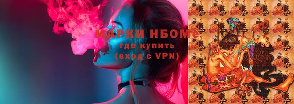 гидра Дубовка