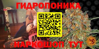 трава Кандалакша