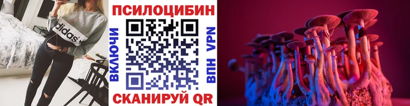 Галлюциногенные грибы Psilocybine cubensis  Саяногорск 